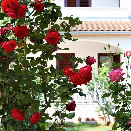 Holiday Home Magnolia Tar-Vabriga Kültér fotó