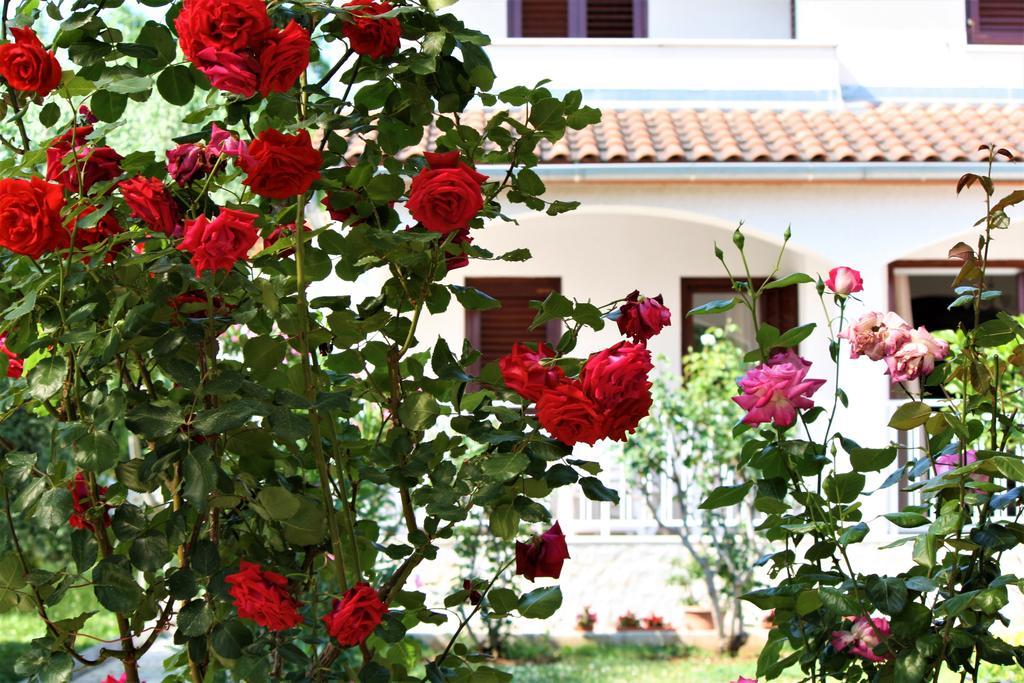 Holiday Home Magnolia Tar-Vabriga Kültér fotó
